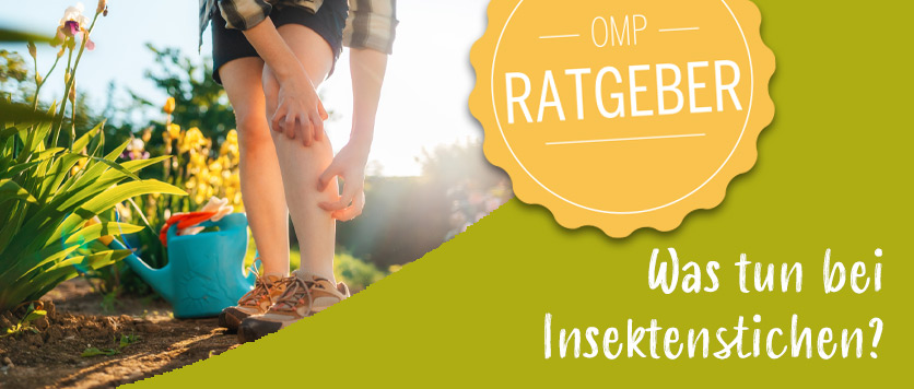 Was tun bei Insektenstichen?