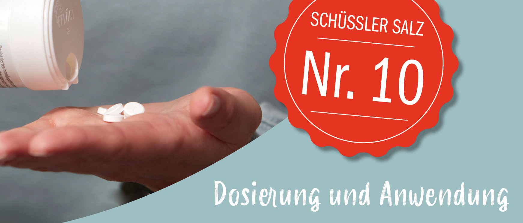 Wie wird Schüßler Salz Nr. 10 dosiert und angewendet?