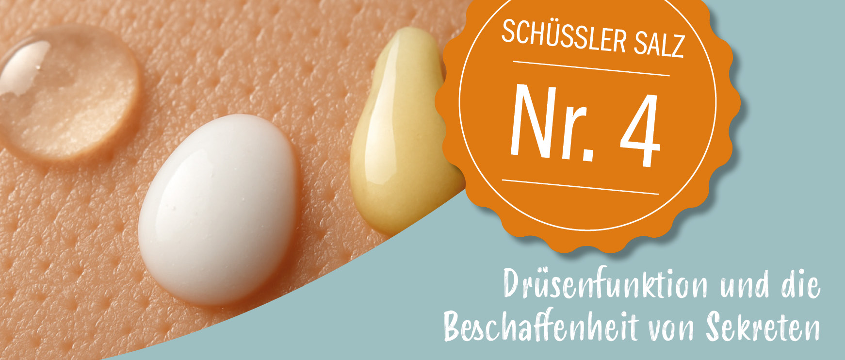 Schüßler Salz Nr. 4 für Drüsen & Sekretbeschaffenheit