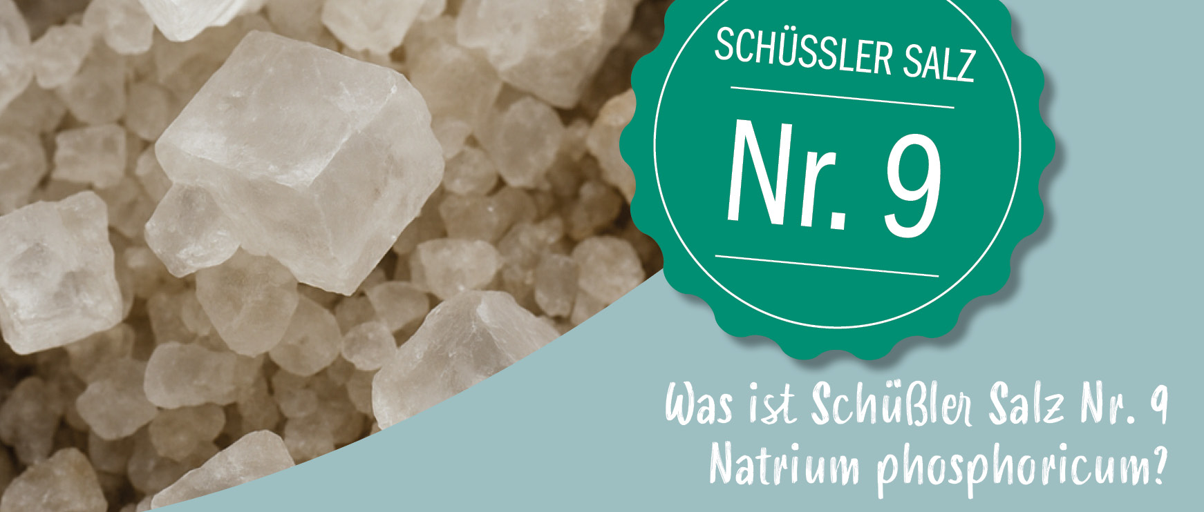 Was ist Schüßler Salz Nr. 9 Natrium phosphoricum?