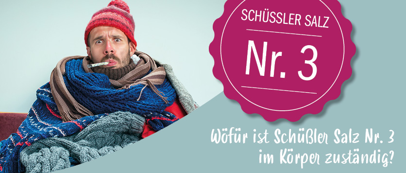Wofür ist Schüßler Salz Nr. 3 im Körper zuständig?