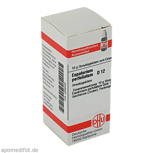 EUPATORIUM PERFOLIATUM D 12 Globuli