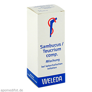 SAMBUCUS/TEUCRIUM comp.Mischung