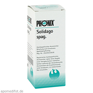 PHÖNIX SOLIDAGO spag.Mischung