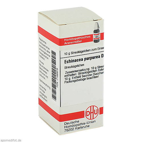 ECHINACEA PURPUREA D 6 Globuli
