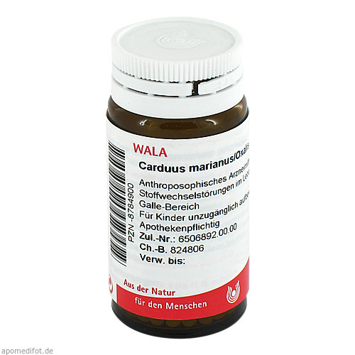 CARDUUS MARIANUS/OXALIS Globuli