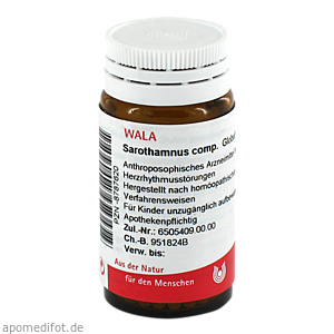 SAROTHAMNUS comp.Globuli