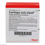CARTILAGO suis Injeel forte Ampullen