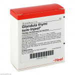 GLANDULA THYMI suis Injeel Ampullen