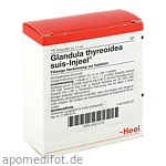 GLANDULA THYREOIDEA suis Injeel Ampullen
