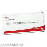 ARNICA/AURUM I Ampullen
