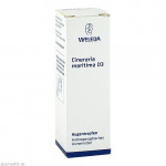 CINERARIA maritima D 3 Augentropfen