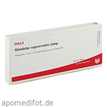 GLANDULAE SUPRARENALES comp.Ampullen