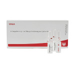 SENECIO COMP.Ampullen