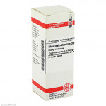 RHUS TOXICODENDRON D 6 Dilution