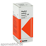 SYNERGON KOMPLEX 129 Plumbum aceticum Tropfen