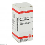 APIS MELLIFICA D 6 Tabletten