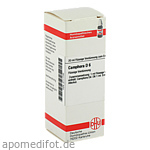 CAMPHORA D 6 Dilution