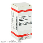 CAUSTICUM HAHNEMANNI D 12 Tabletten