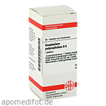 GNAPHALIUM POLYCEPHALUM D 6 Tabletten