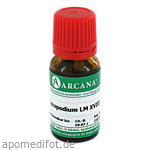 LYCOPODIUM LM 18 Dilution