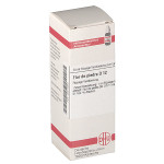 FLOR DE PIEDRA D 12 Dilution