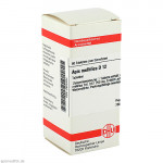 APIS MELLIFICA D 12 Tabletten