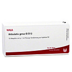 ARTICULATIO genus GL D 12 Ampullen