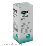 PHÖNIX SOLIDAGO spag.Mischung