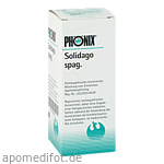 PHÖNIX SOLIDAGO spag.Mischung