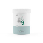 BIOCHEMIE Pflüger 9 Natrium phosphoricum D 6 Tabl.