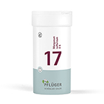 BIOCHEMIE Pflüger 17 Manganum sulfuricum D 6 Tabl.