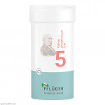 BIOCHEMIE Pflüger 5 Kalium phosphoricum D 6 Pulver
