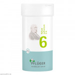 BIOCHEMIE Pflüger 6 Kalium sulfuricum D 6 Pulver