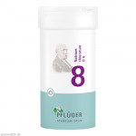 BIOCHEMIE Pflüger 8 Natrium chloratum D 6 Pulver