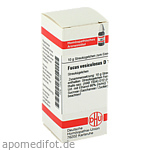 FUCUS VESICULOSUS D 12 Globuli