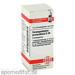 HARPAGOPHYTUM PROCUMBENS D 30 Globuli