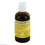 MERIDIANKOMPLEX 13 Mischung