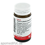 ARNICA E Planta tota D 6 Globuli