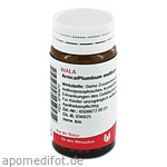 ARNICA/PLUMBUM /Mellitum Globuli