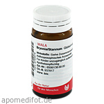 BRYONIA STANNUM Globuli