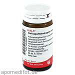 CARTILAGO/Mandragora comp.Globuli