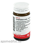 GNAPHALIUM COMP.Globuli