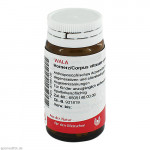 HORNERZ/Corpus vitreum comp.Globuli