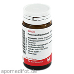 PANCREAS/EQUISETUM Globuli