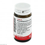 RENES/EQUISETUM comp.Globuli