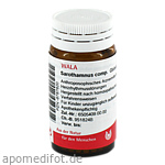 SAROTHAMNUS comp.Globuli