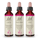 Original Bachblüten Trio „Innere und äußere Schönheit“